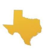 Texas Real Estate Coach and Mentor