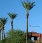 Chandler Real Estate Coach