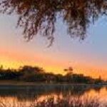 Fremont Real Estate Coach