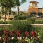 McAllen Real Estate Coach