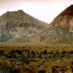 North Las Vegas Real Estate Coach