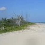 Port Saint Lucie Real Estate Coach