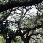 Savannah Real Estate Coach