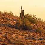 Glendale Real Estate Coach