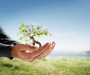 building your net worth
