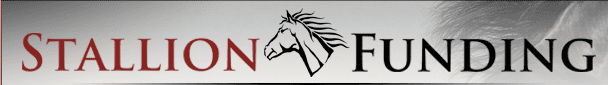 stallion